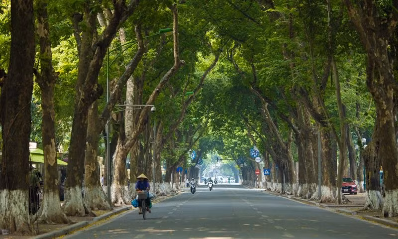 2023-ha-noi-khong-mua-thanh-pho-ho-chi-minh-da-nang-ngay-nang-chieu-mua-co-mua-to-651a8d9f966e2-1699485090.jpeg