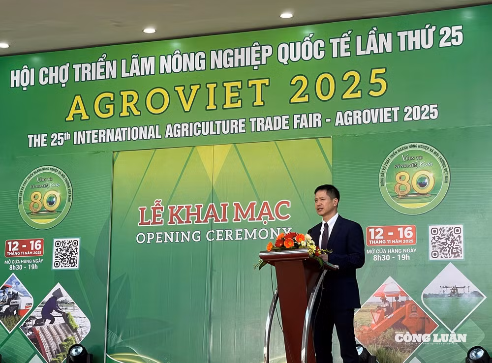 Ảnh màn hình 2025-11-12 lúc 13.04.34