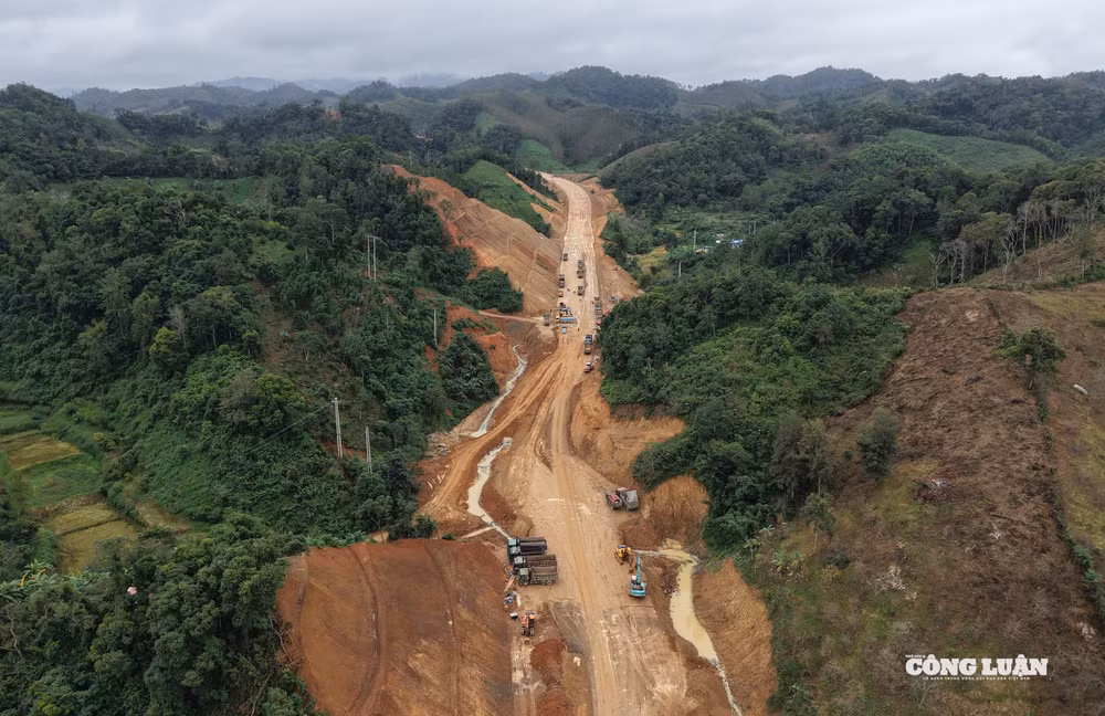 dji_20251110104132_0579_d.jpg