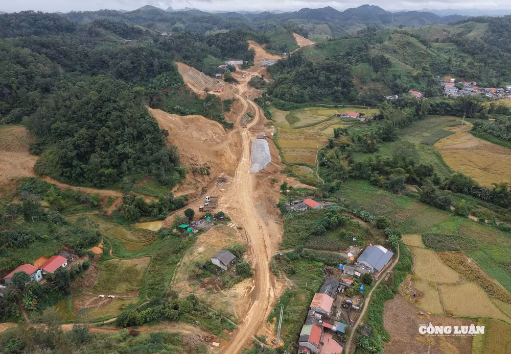 dji_20251110104244_0584_d.jpg