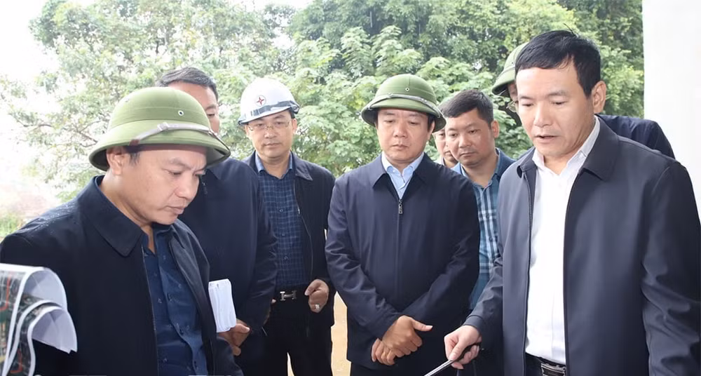 hy dự