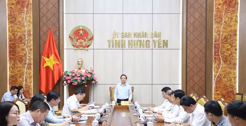 hy.jpg