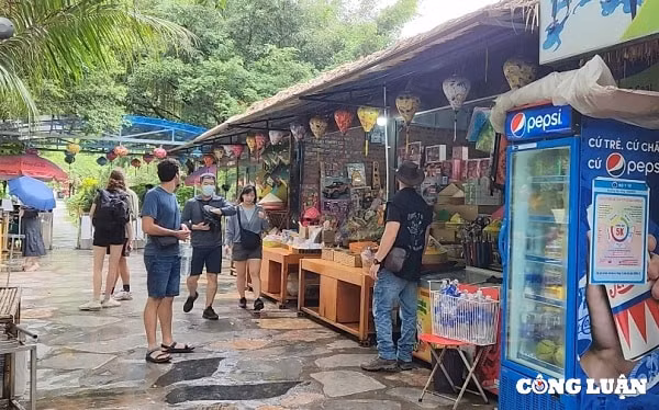 ve hang mua ngam van ly truong thanh mua sen no va dong lua chin hinh 7