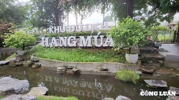 ve hang mua ngam van ly truong thanh mua sen no va dong lua chin hinh 8