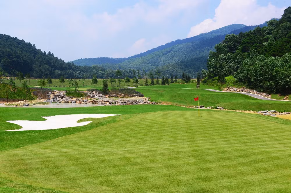 hoc vien gon jack nicklaus nang tam chat luong voi chien luoc dao tao gon ngay tren san gon hinh 1