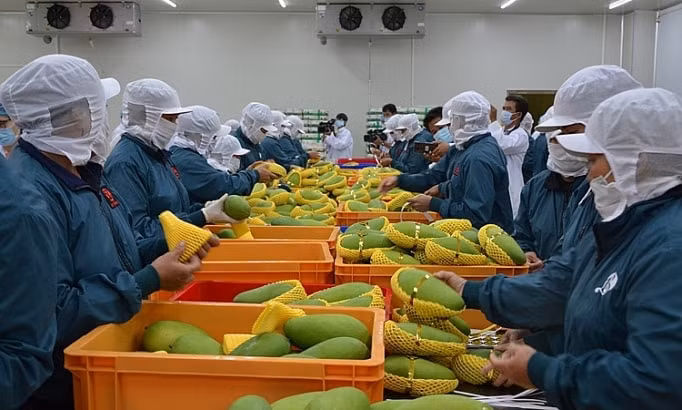 viet nam tiep tuc xuat sieu uoc dat 84 ty usd trong 6 thang dau nam hinh 1