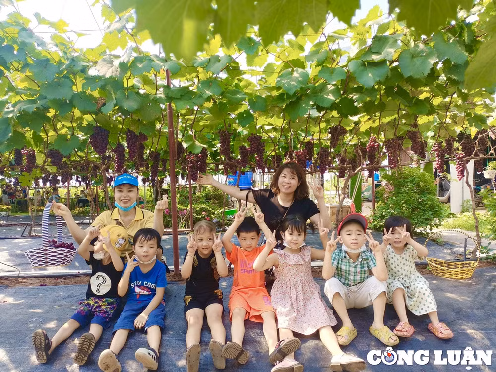 vuon nho o ha noi chin mong thu hut nhieu nguoi dan toi chup hinh hinh 6