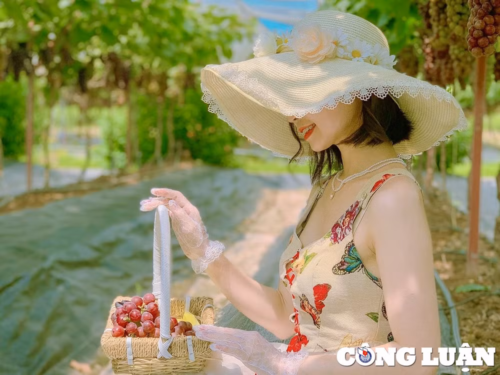 vuon nho o ha noi chin mong thu hut nhieu nguoi dan toi chup hinh hinh 7