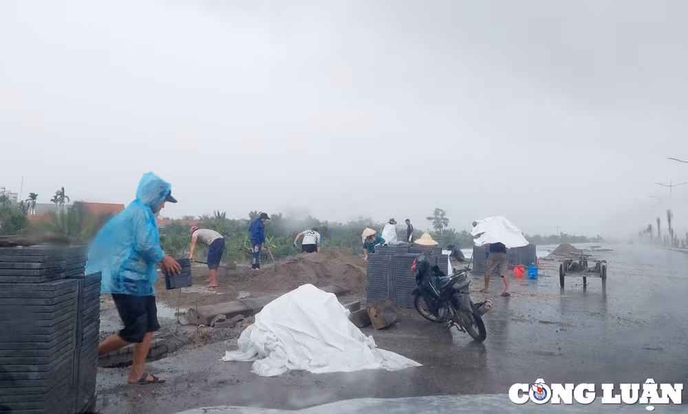 quang ninh tap trung hoan thanh cac hang muc cuoi cung som thong xe du an cau ben rung hinh 6
