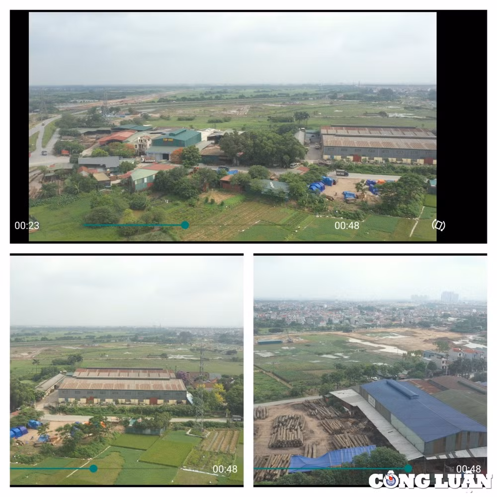 vi pham tran lan keo dai nhung khong bi xu ly hinh 3