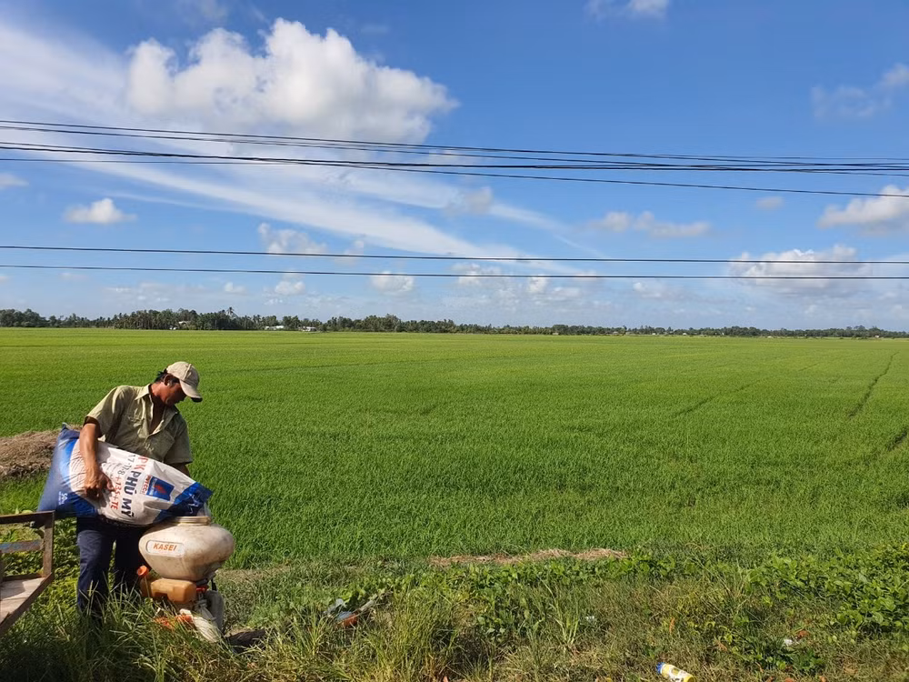 da den luc khong the khong sua doi luat 71 hinh 2
