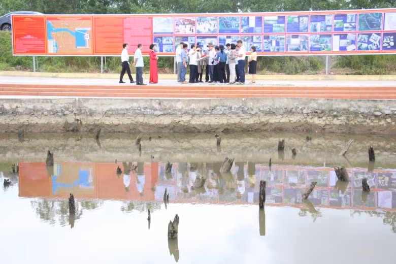 chuyen gia unesco khao sat tham dinh bai coc bach dang hinh 1