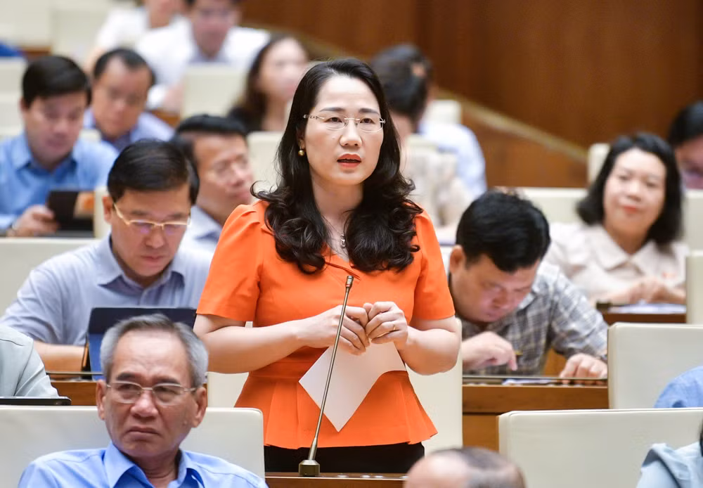 dai bieu quoc hoi lo ngai viec nguoi chua thanh nien bi loi keo thue muon de thuc hien hanh vi pham toi hinh 1