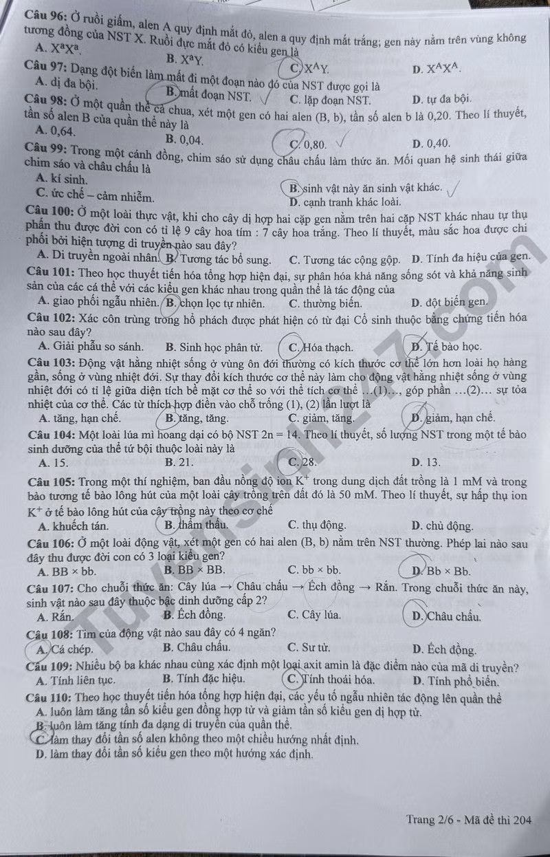 de thi tot nghiep thpt 2024 mon sinh hoc ma de 204 hinh 2