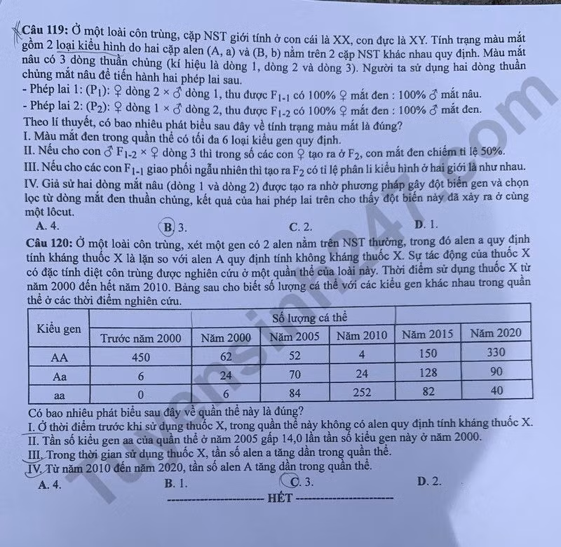 de thi tot nghiep thpt 2024 mon sinh hoc ma de 211 hinh 6