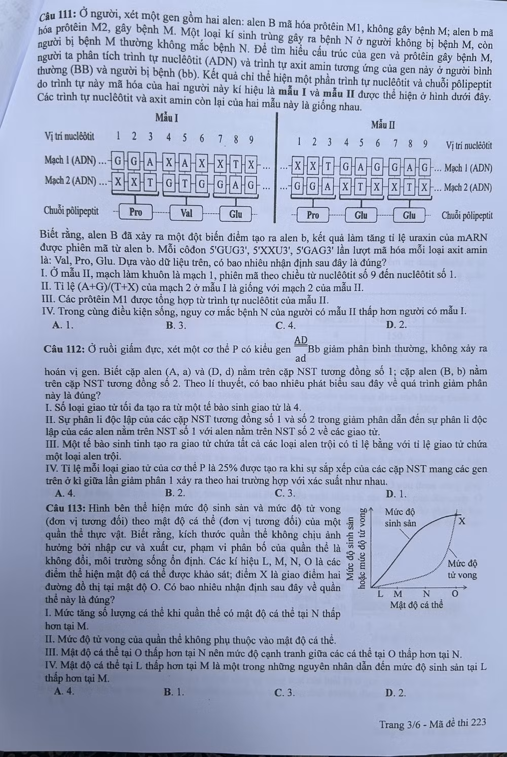 de thi tot nghiep thpt 2024 mon sinh hoc ma de 223 hinh 3