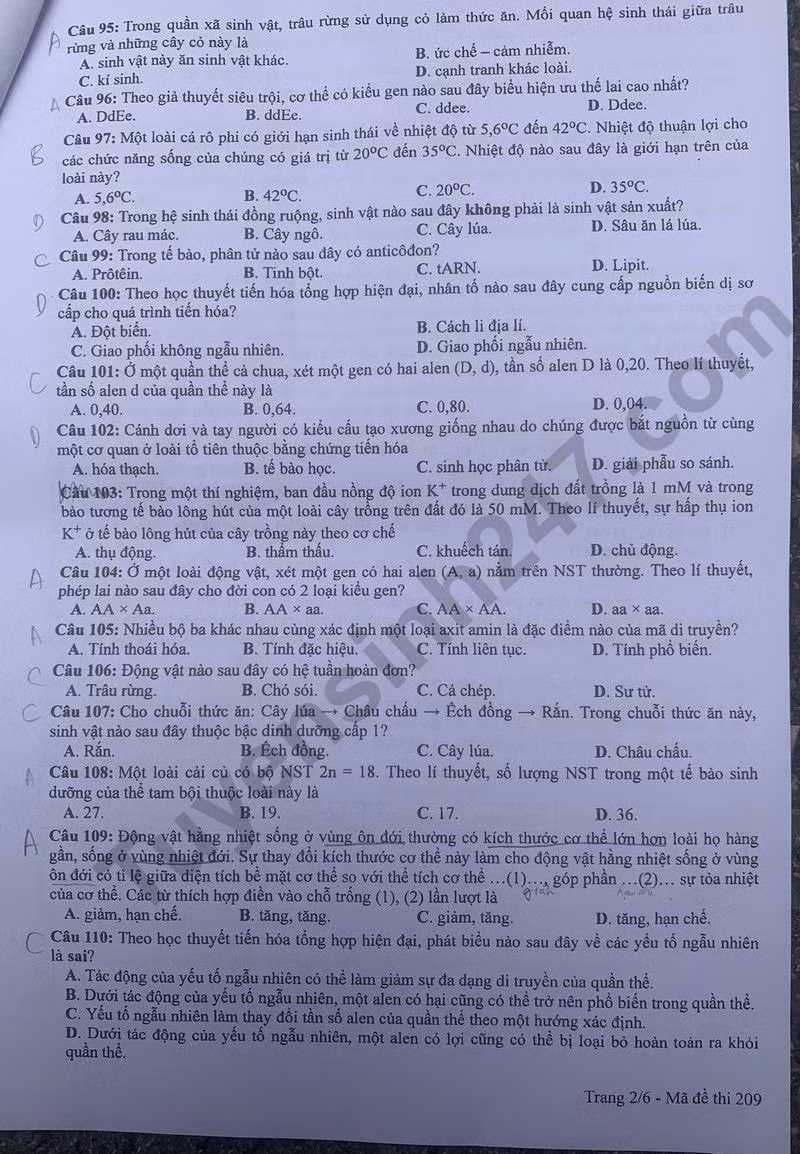 de thi tot nghiep thpt 2024 mon sinh hoc ma de 209 hinh 2