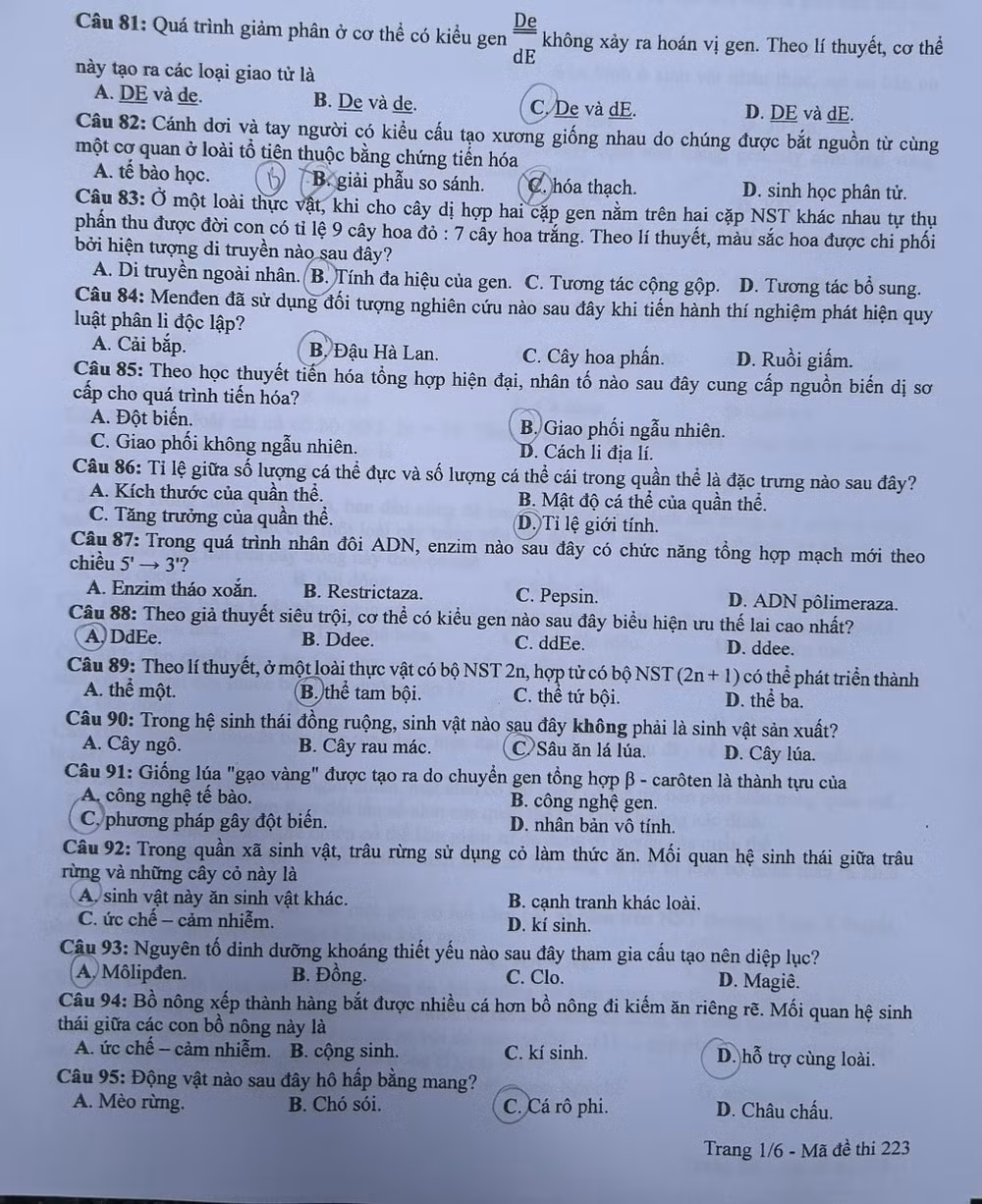 de thi tot nghiep thpt 2024 mon sinh hoc ma de 223 hinh 1