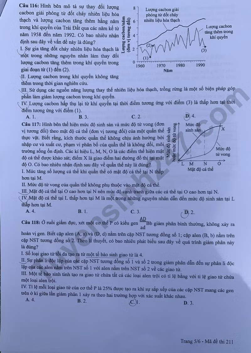 de thi tot nghiep thpt 2024 mon sinh hoc ma de 211 hinh 5
