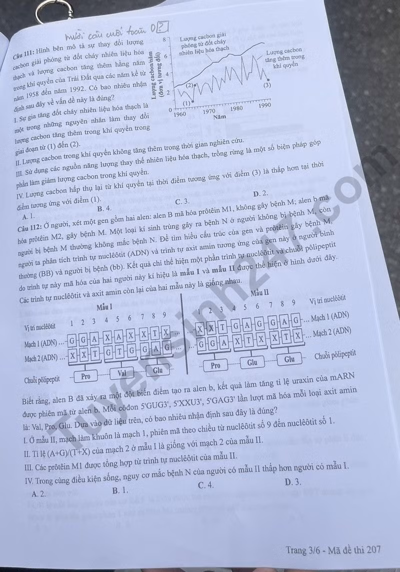 de thi tot nghiep thpt 2024 mon sinh hoc ma de 207 hinh 3