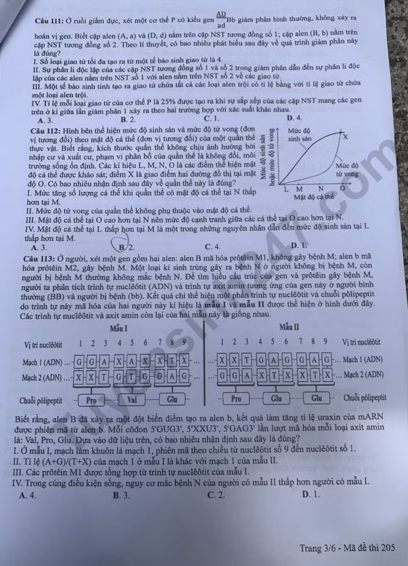 de thi tot nghiep thpt 2024 mon sinh hoc ma de 205 hinh 3
