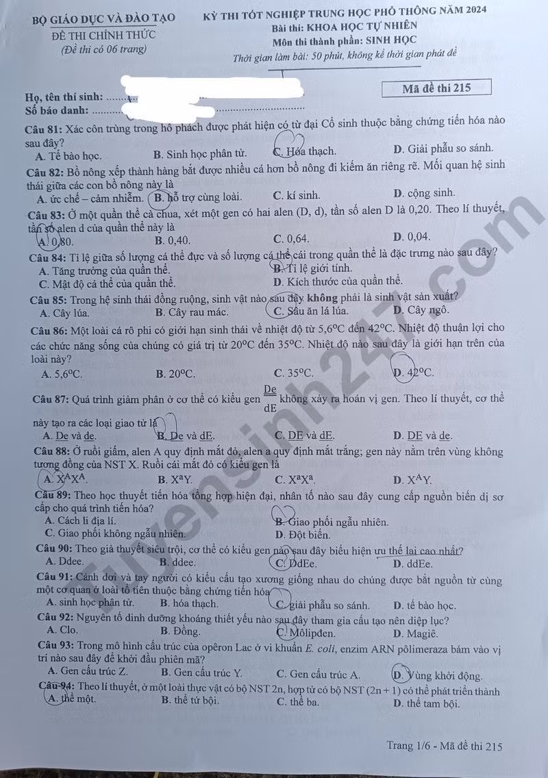 de thi tot nghiep thpt 2024 mon sinh hoc ma de 215 hinh 1
