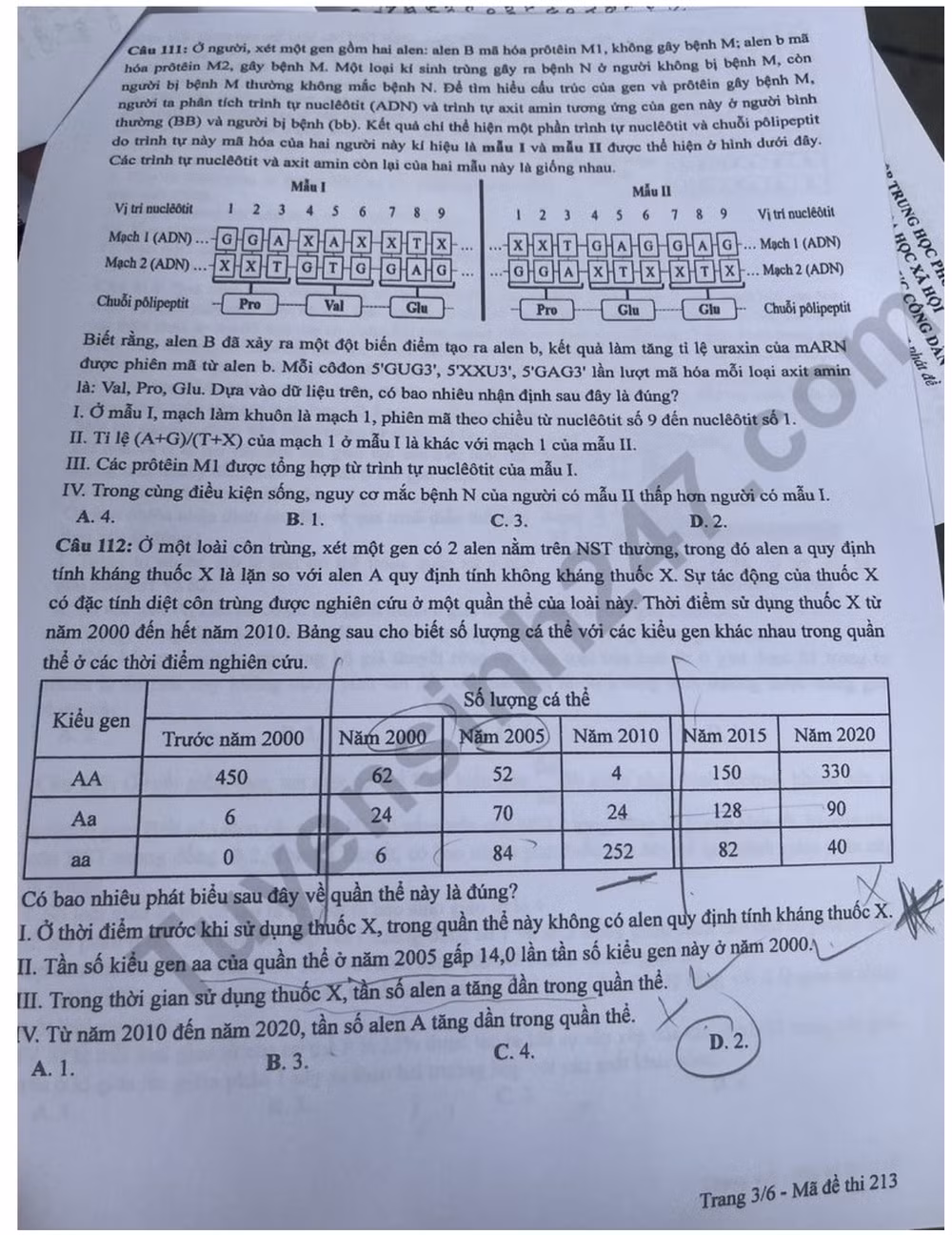 de thi tot nghiep thpt 2024 mon sinh hoc ma de 213 hinh 3