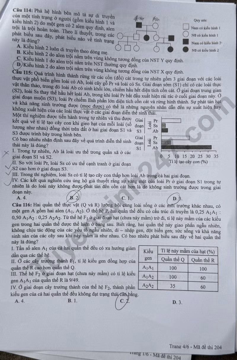 de thi tot nghiep thpt 2024 mon sinh hoc ma de 204 hinh 4