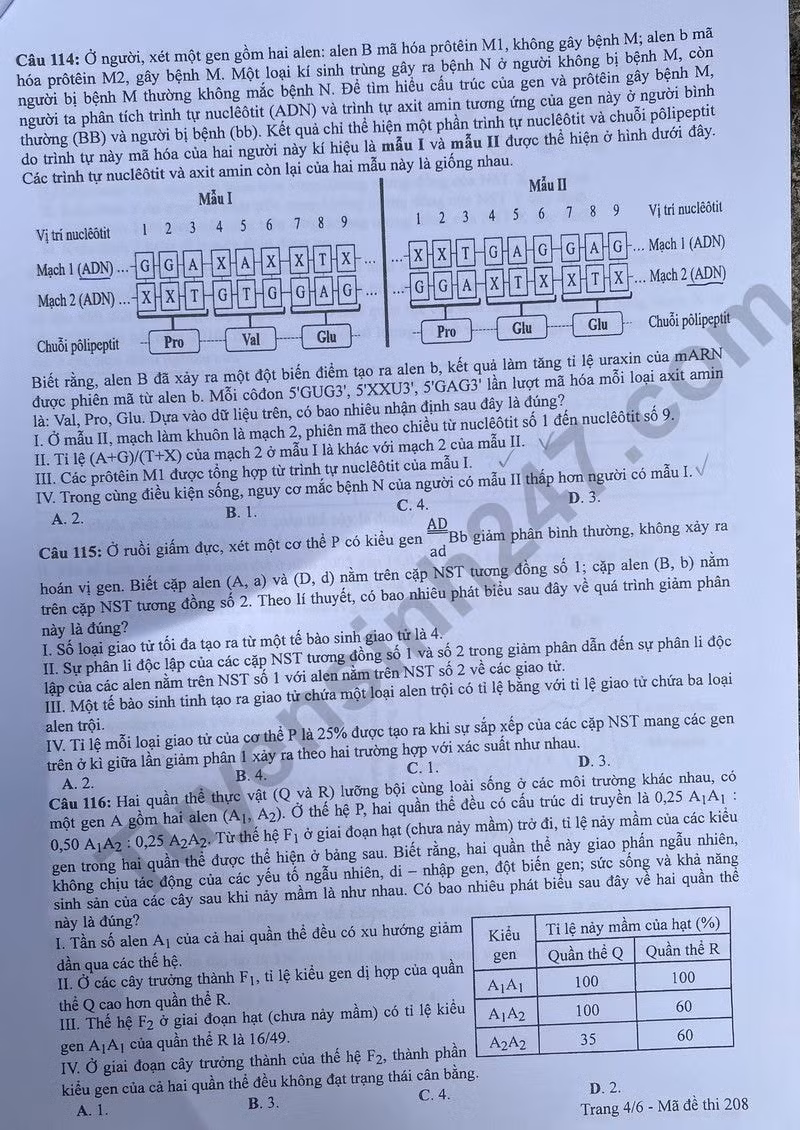 de thi tot nghiep thpt 2024 mon sinh hoc ma de 208 hinh 4