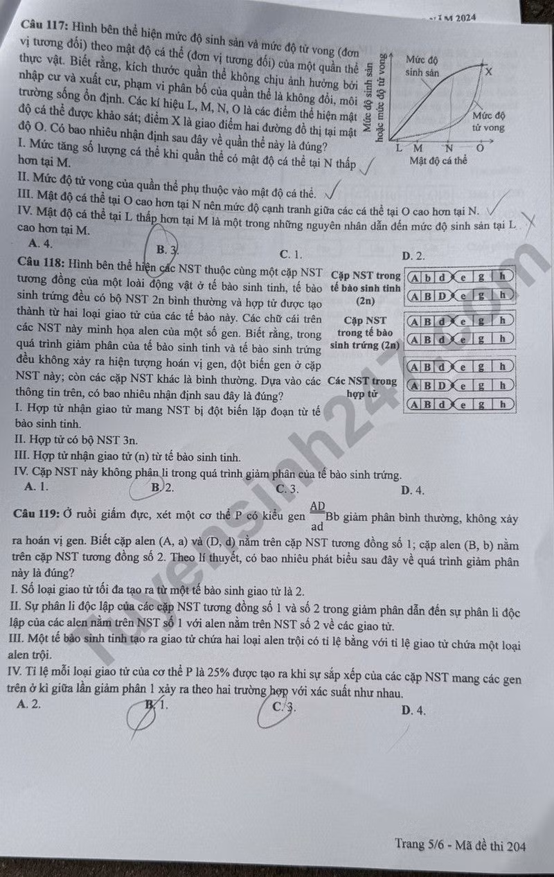 de thi tot nghiep thpt 2024 mon sinh hoc ma de 204 hinh 5