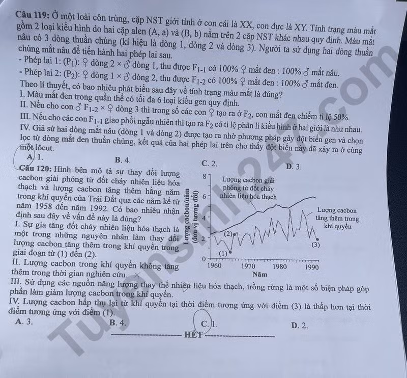 de thi tot nghiep thpt 2024 mon sinh hoc ma de 219 hinh 6
