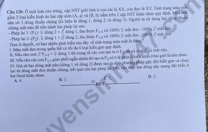 de thi tot nghiep thpt 2024 mon sinh hoc ma de 208 hinh 6
