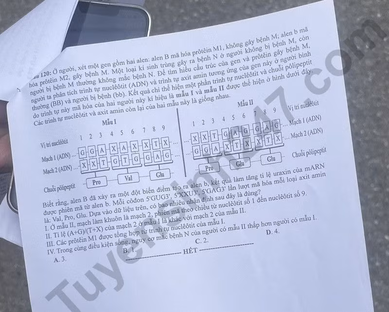 de thi tot nghiep thpt 2024 mon sinh hoc ma de 224 hinh 6
