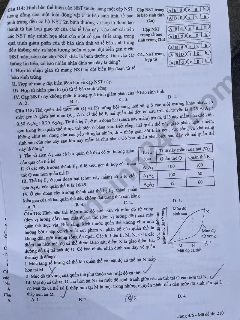 de thi tot nghiep thpt 2024 mon sinh hoc ma de 210 hinh 4