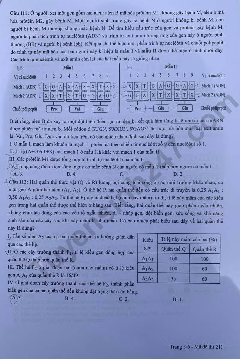 de thi tot nghiep thpt 2024 mon sinh hoc ma de 211 hinh 3
