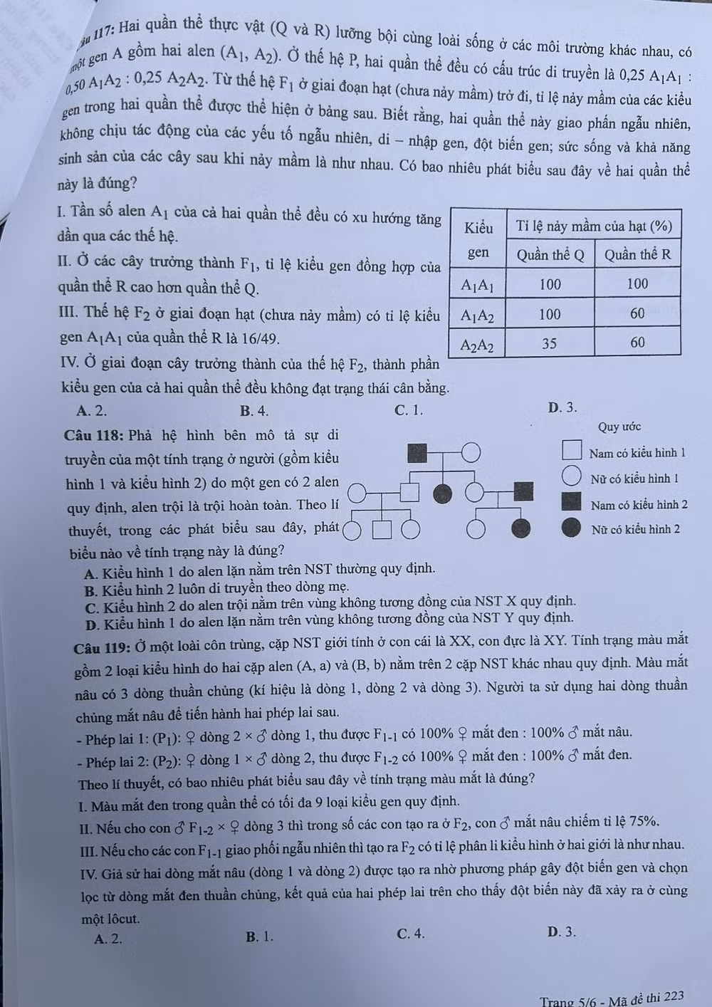 de thi tot nghiep thpt 2024 mon sinh hoc ma de 223 hinh 5
