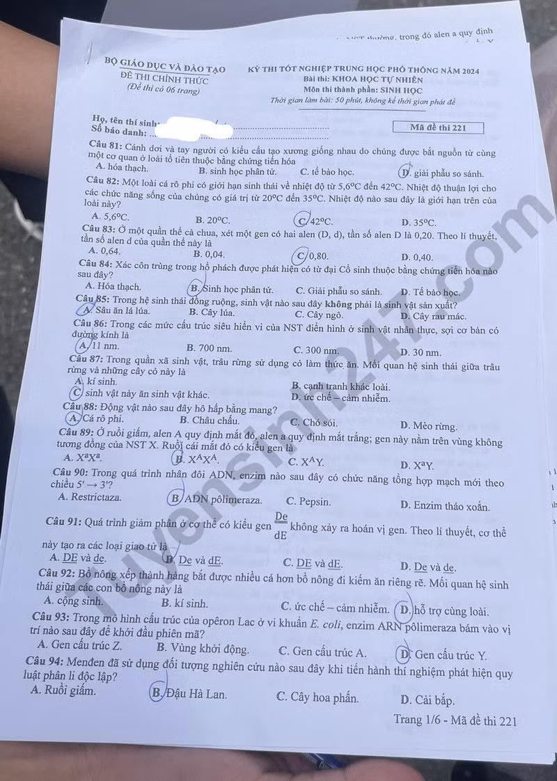 de thi tot nghiep thpt 2024 mon sinh hoc ma de 221 hinh 1