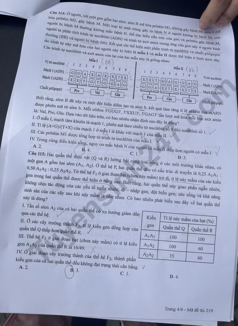 de thi tot nghiep thpt 2024 mon sinh hoc ma de 219 hinh 4