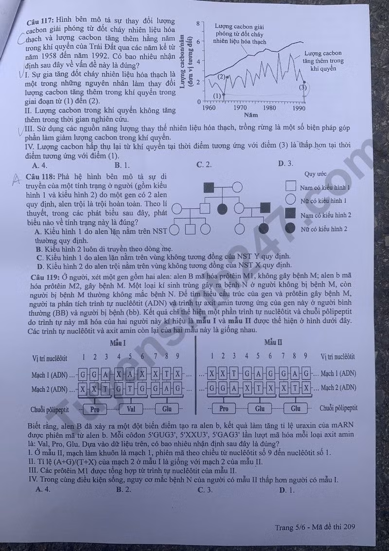 de thi tot nghiep thpt 2024 mon sinh hoc ma de 209 hinh 5