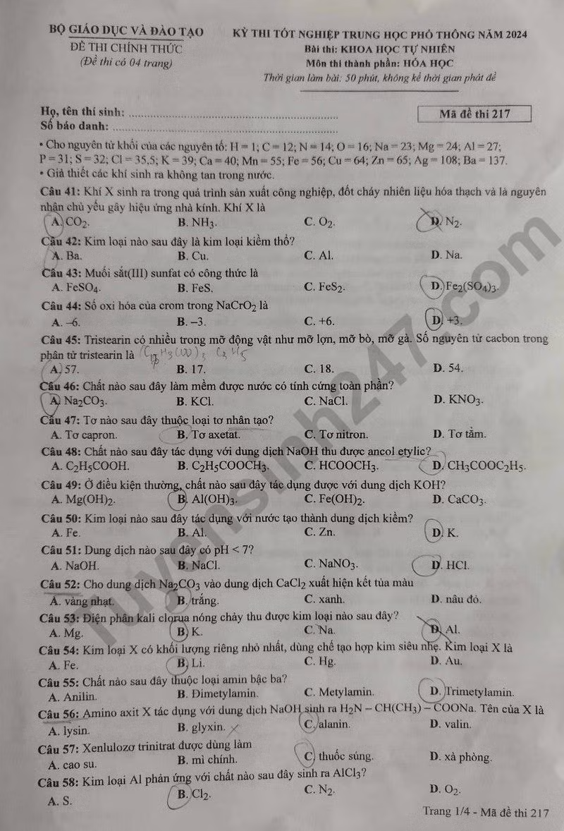 de thi tot nghiep thpt 2024 mon hoa hoc ma de 217 hinh 1