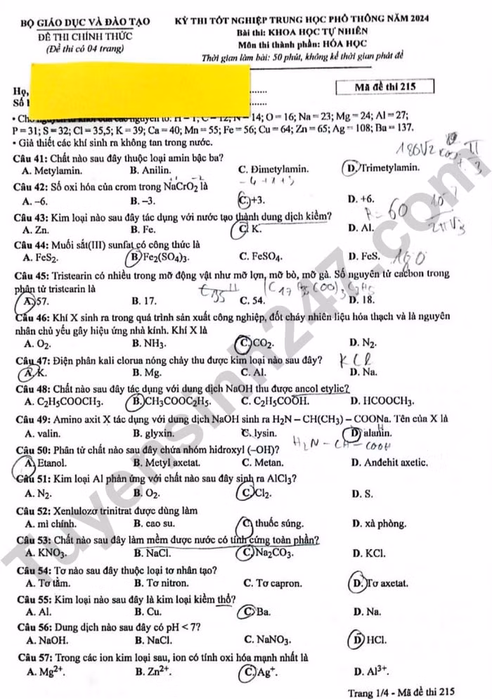 de thi tot nghiep thpt 2024 mon hoa hoc ma de 215 hinh 1