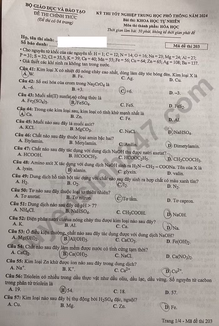 de thi tot nghiep thpt 2024 mon hoa hoc ma de 203 hinh 1
