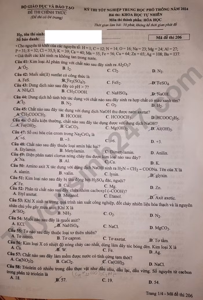de thi tot nghiep thpt 2024 mon hoa hoc ma de 206 hinh 1