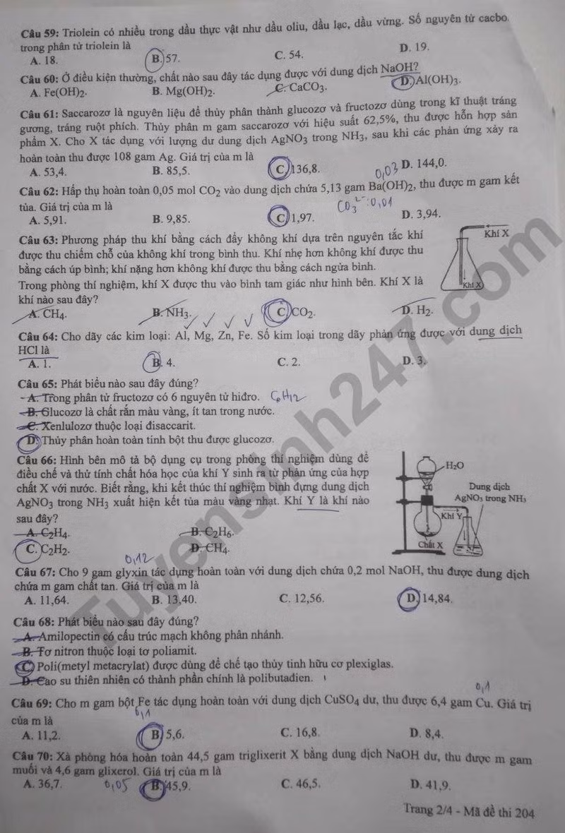 de thi tot nghiep thpt 2024 mon hoa hoc ma de 204 hinh 2