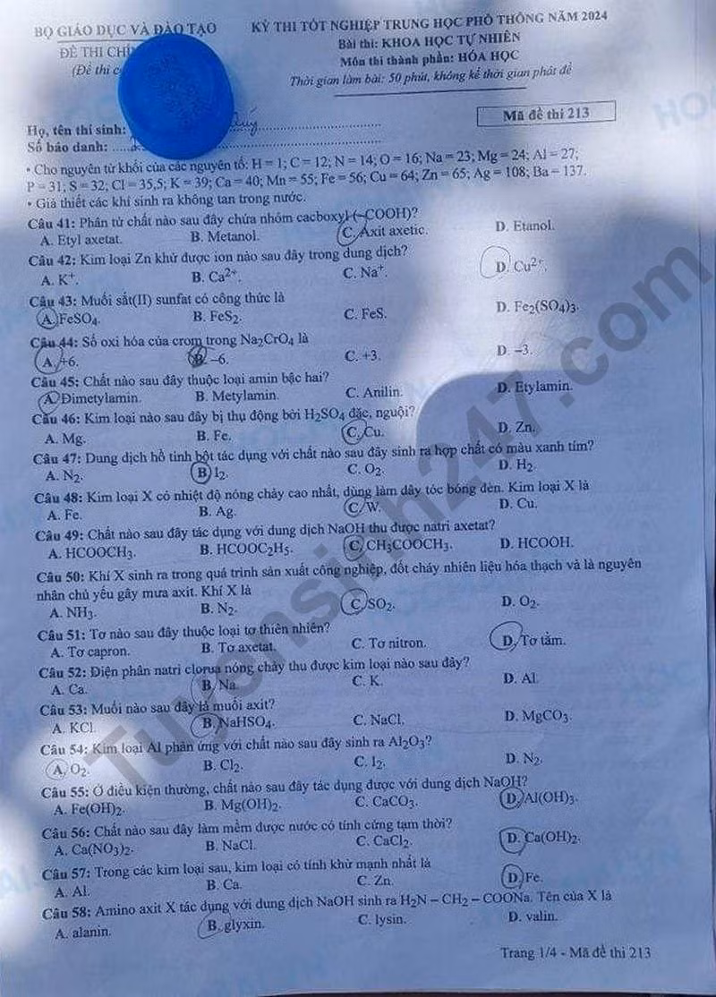 de thi tot nghiep thpt 2024 mon hoa hoc ma de 213 hinh 1