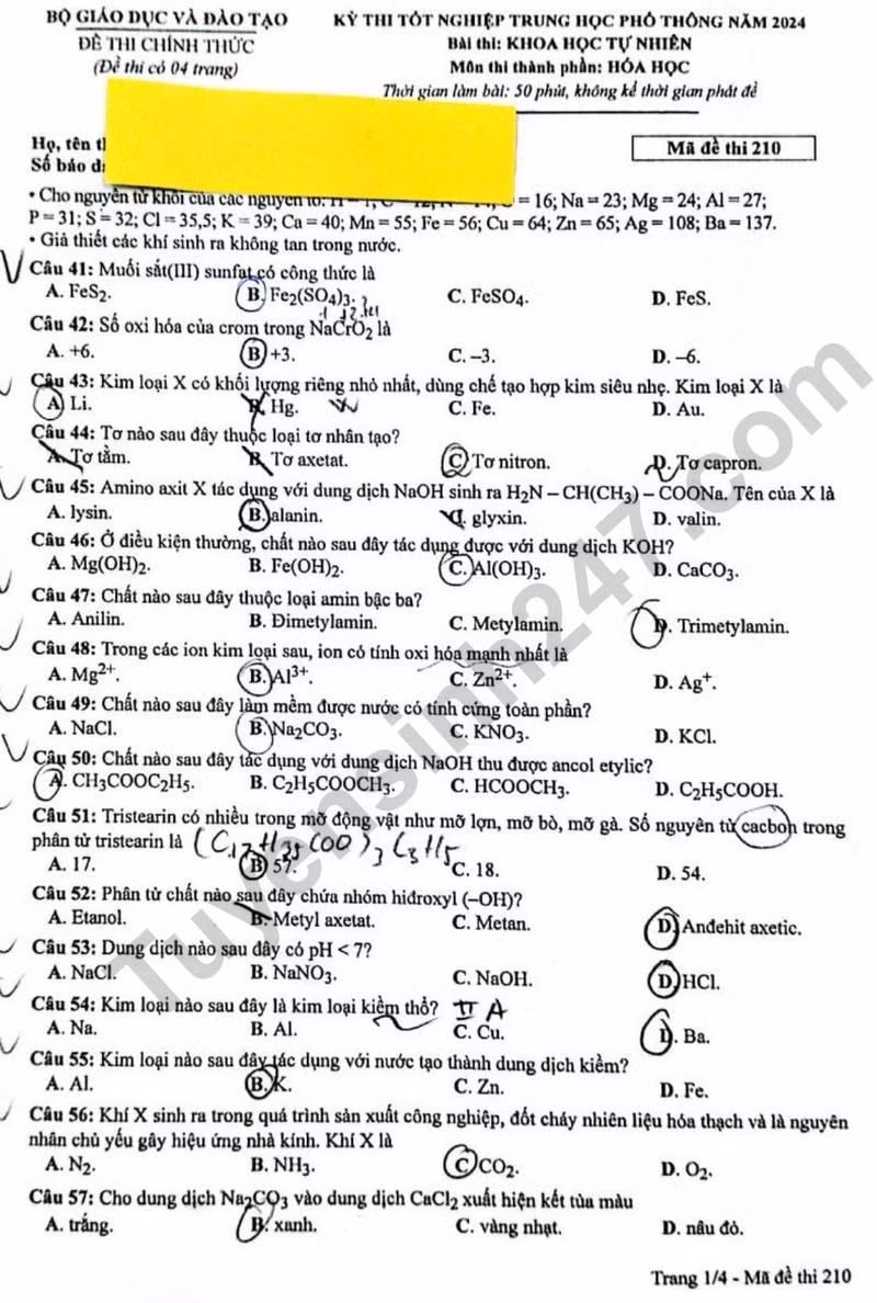 de thi tot nghiep thpt 2024 mon hoa hoc ma de 210 hinh 1
