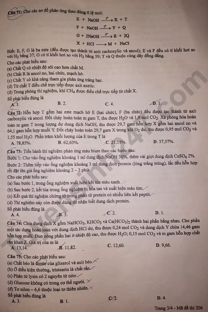de thi tot nghiep thpt 2024 mon hoa hoc ma de 206 hinh 3