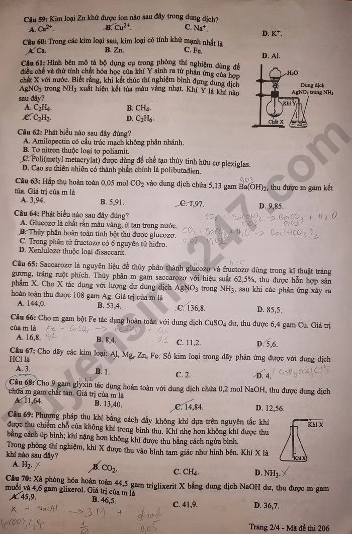 de thi tot nghiep thpt 2024 mon hoa hoc ma de 206 hinh 2