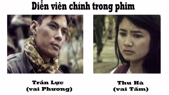 hoa ban đỏ 2