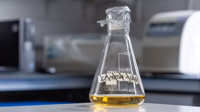 Một mẫu bệnh phẩm của Covid-19 được nuôi cấy tại đại học Imperial London College. Ảnh: Sky